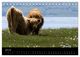 Thumbnail-9