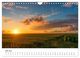 Thumbnail-8