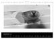 Thumbnail-14