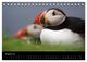 Thumbnail-10