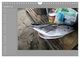 Thumbnail-12