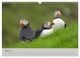 Thumbnail-10
