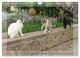Thumbnail-9