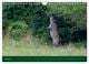 Thumbnail-13