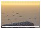 Thumbnail-14