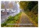 Thumbnail-12