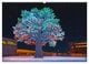 Thumbnail-8