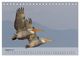 Thumbnail-10
