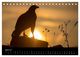 Thumbnail-9