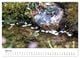 Thumbnail-9