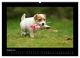 Thumbnail-10