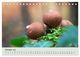 Thumbnail-12