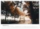 Thumbnail-11