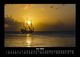 Thumbnail-10