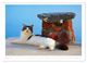 Thumbnail-10