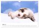 Thumbnail-9