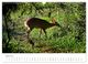 Thumbnail-9