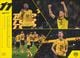 Thumbnail-14