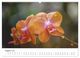 Thumbnail-10