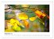 Thumbnail-14