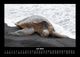 Thumbnail-11