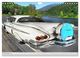 Thumbnail-14