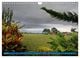 Thumbnail-10