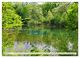 Thumbnail-9