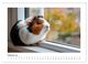 Thumbnail-12