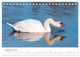 Thumbnail-14