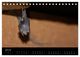 Thumbnail-9