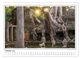 Thumbnail-12