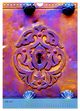 Thumbnail-11