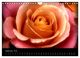 Thumbnail-11
