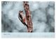 Thumbnail-13
