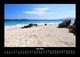 Thumbnail-11
