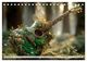 Thumbnail-14