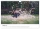 Thumbnail-13