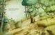 Thumbnail-4
