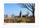 Thumbnail-8