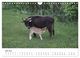 Thumbnail-11