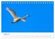 Thumbnail-10