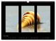 Thumbnail-10
