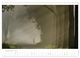 Thumbnail-14