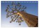 Thumbnail-11