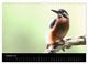 Thumbnail-12