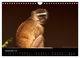 Thumbnail-14
