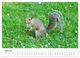 Thumbnail-9