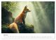 Thumbnail-11
