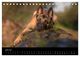 Thumbnail-11